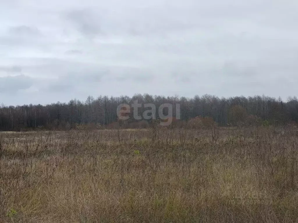 Участок в Брянская область, Брянский район, с. Журиничи  (20.0 сот.) - Фото 1