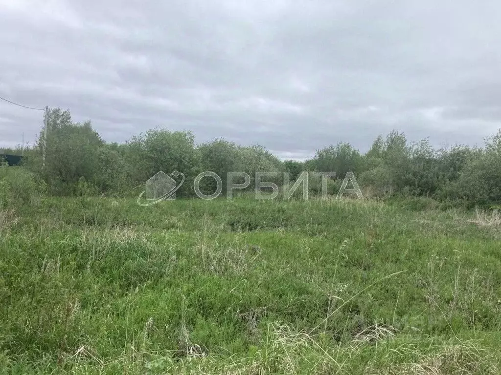 Участок в Тюменская область, Тюмень  (6.8 сот.) - Фото 1