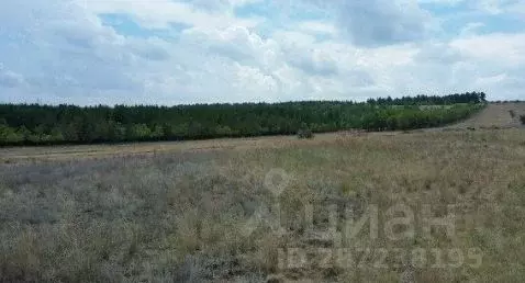 Участок в Волгоградская область, Камышинский район, Лебяженское с/пос, ... - Фото 2