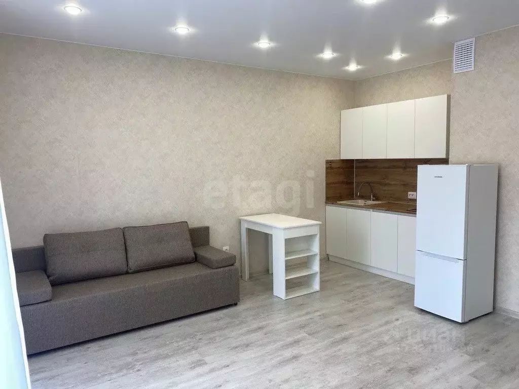 Студия Пермский край, Пермь ул. Космонавта Леонова, 41к2 (28.7 м) - Фото 2