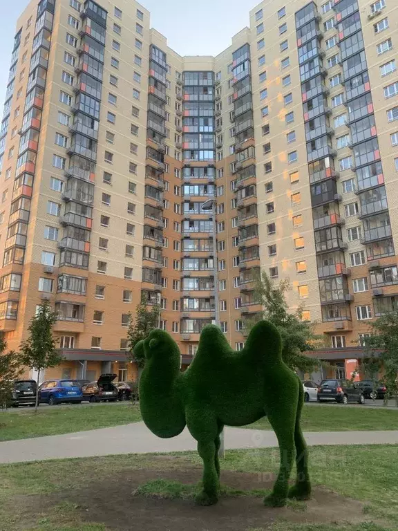 1-к кв. Московская область, Люберцы Зенино ЖК Самолет мкр, ул. Камова, ... - Фото 1
