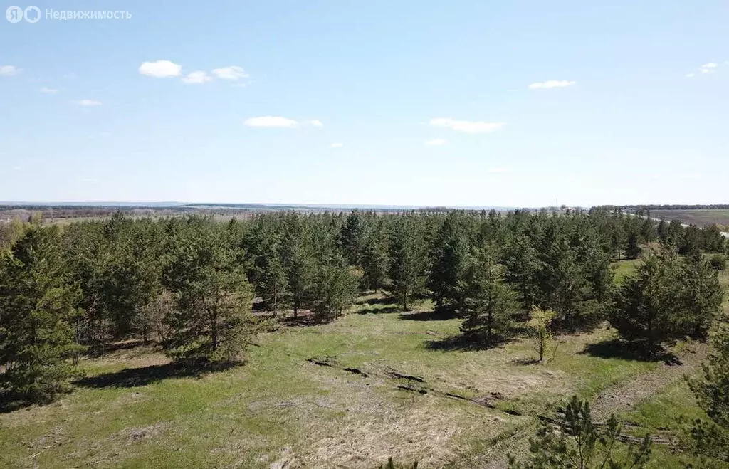 Участок в Ставропольский район, село Ташёлка (6.41 м) - Фото 2