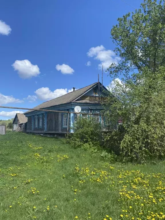 Дом в Мордовия, Ичалковский район, с. Большая Пестровка  (77 м) - Фото 0