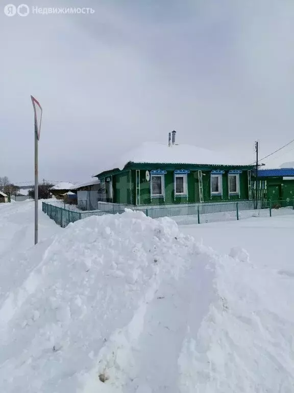 Дом в село Нижнеусцелемово, Степная улица (41.7 м) - Фото 1