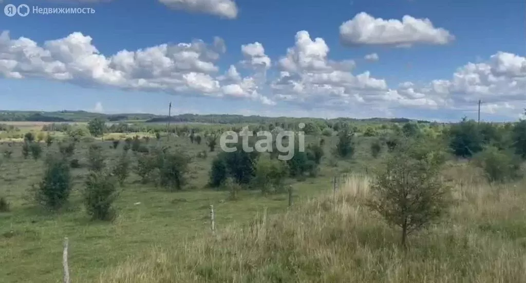 Участок в Калининград, СНТ Дельфин (6 м) - Фото 0