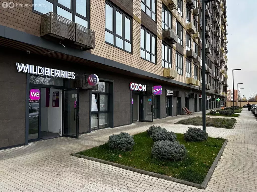 Торговая площадь (50.5 м) - Фото 0