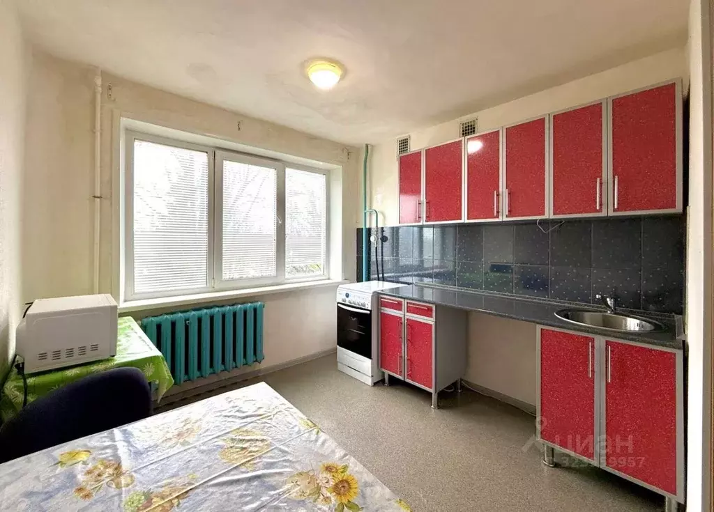 1-к кв. Ленинградская область, Кингисеппский район, Большелуцкое ... - Фото 2