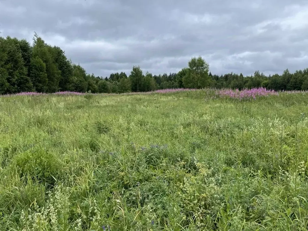 Участок в Тверская область, Вышневолоцкий муниципальный округ, д. ... - Фото 2