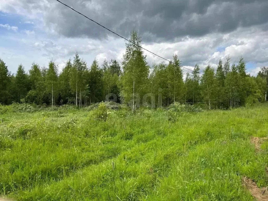 Участок в Костромская область, Красносельский район, Шолоховское ... - Фото 0