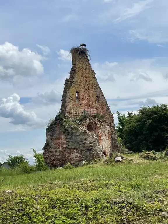 Участок в Калининградская область, Гурьевский муниципальный округ, ... - Фото 0
