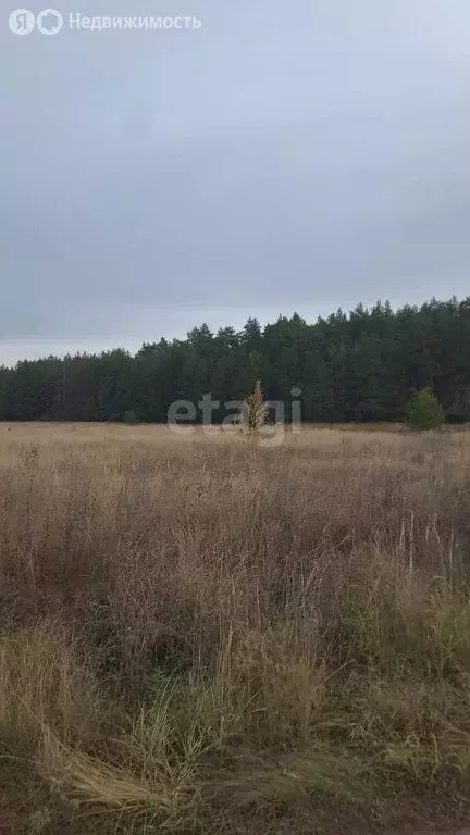 Участок в Поспеловское сельское поселение, село Мальцево, Северная ... - Фото 0