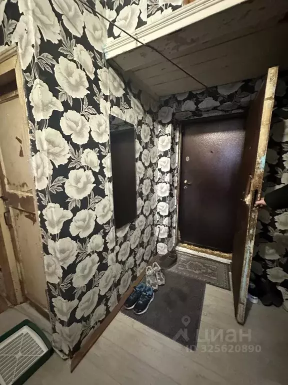 Комната Московская область, Чехов ул. Чехова, 15/2 (16.0 м) - Фото 2