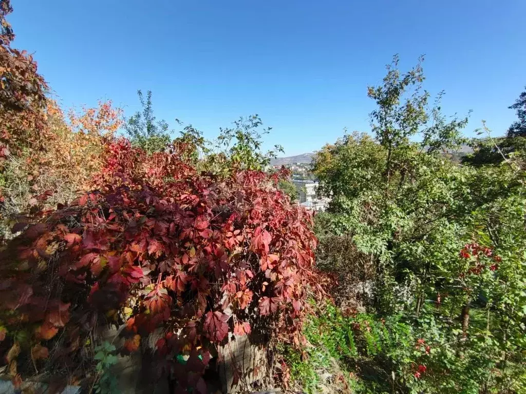 Участок в Ставропольский край, Кисловодск ул. Чернышевского (6.79 ... - Фото 1