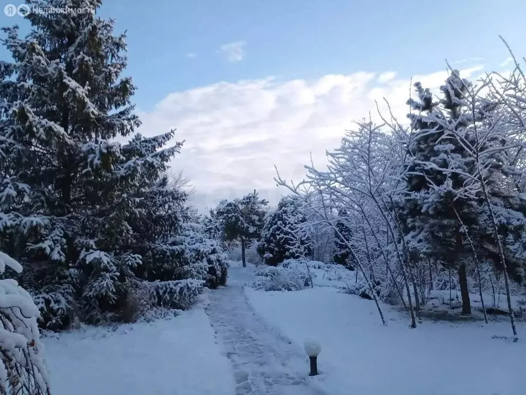 Участок в Тамбовская область, Знаменский муниципальный округ, деревня ... - Фото 2