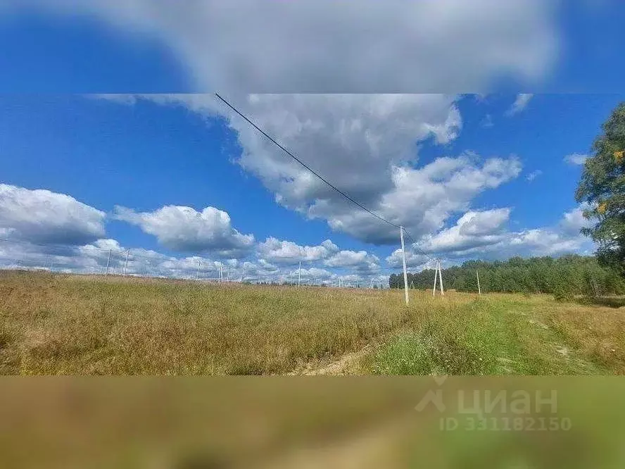 Участок в Удмуртия, Якшур-Бодьинский район, с. Люкшудья Совхозный ... - Фото 2