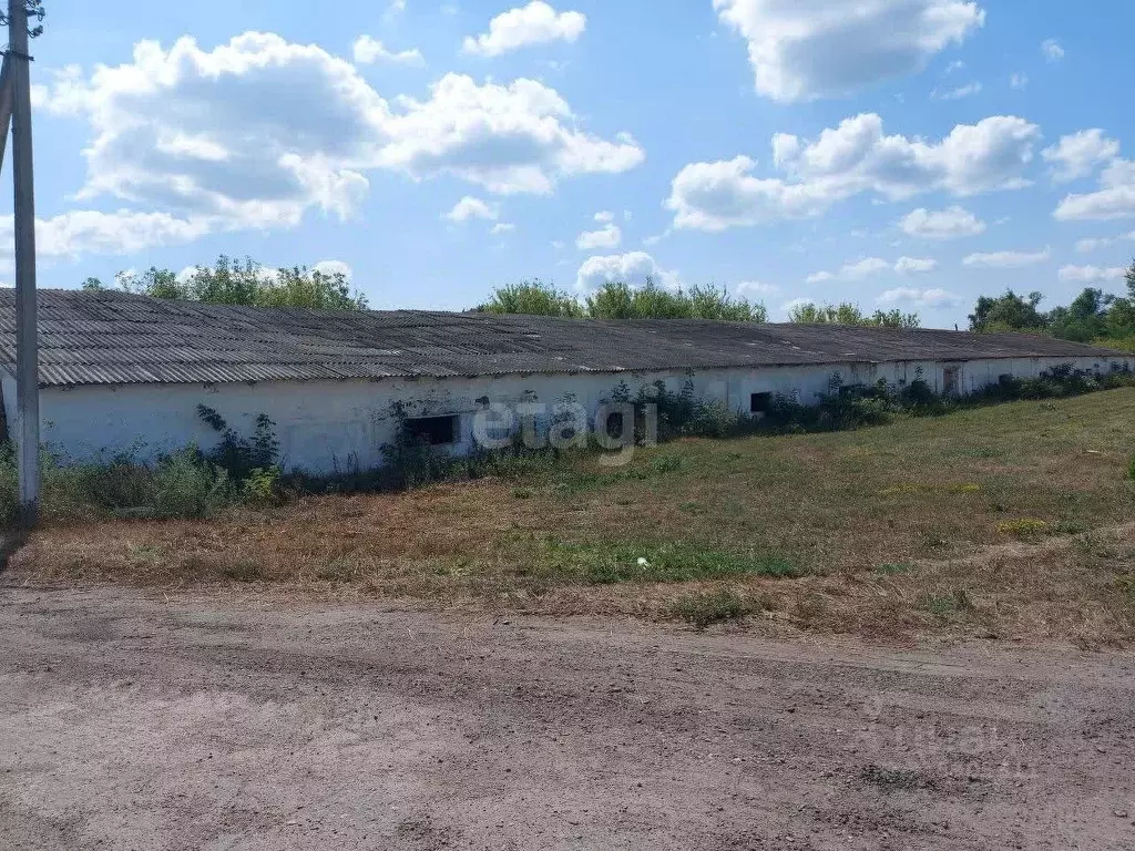 Помещение свободного назначения в Белгородская область, Корочанский ... - Фото 2