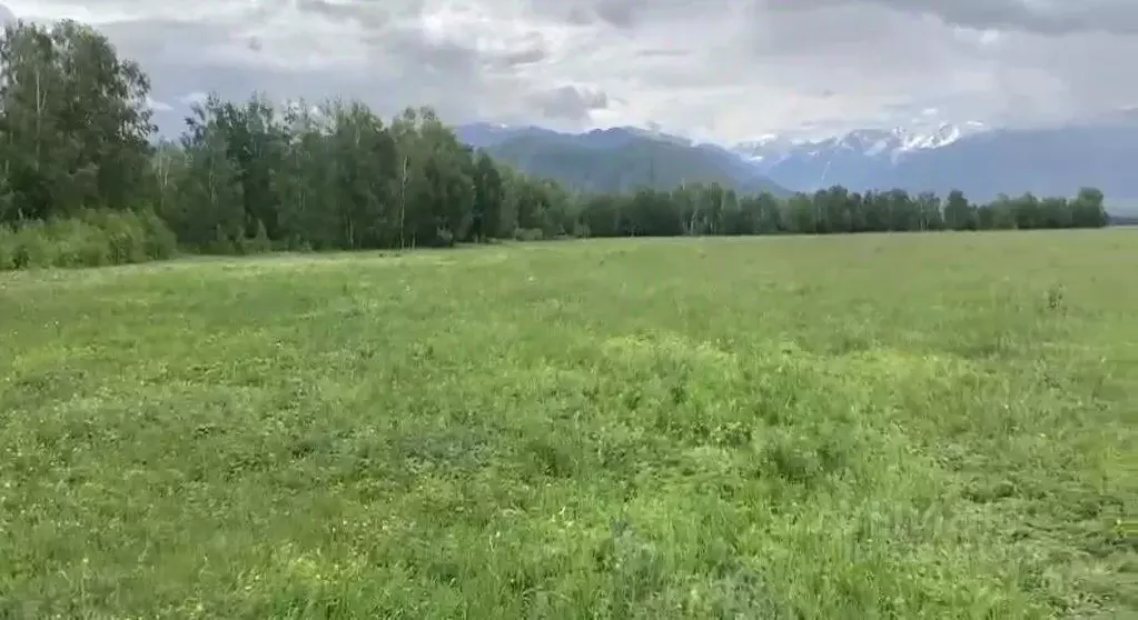 Участок в Алтай, Усть-Коксинский район, с. Катанда Спортивный пер. ... - Фото 2