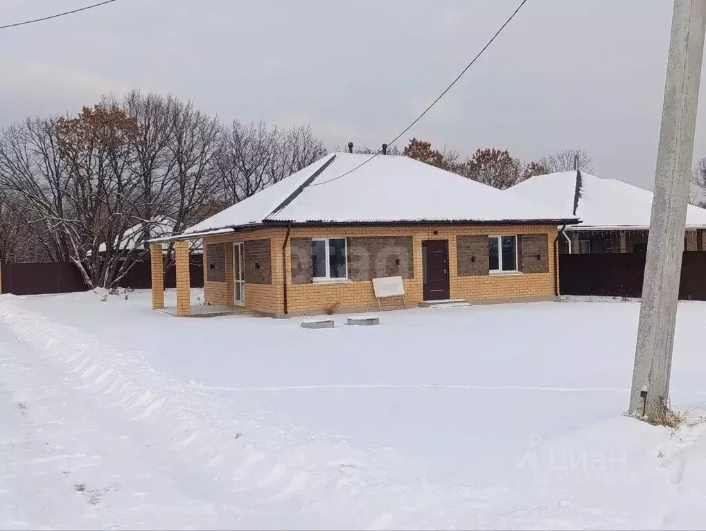 Дом в Амурская область, Благовещенский район, с. Кантон-Коммуна ул. ... - Фото 2