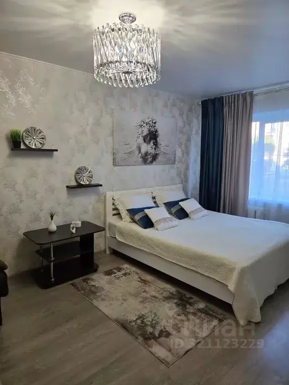 1-к кв. Курская область, Курск ул. Радищева, 55 (32.0 м) - Фото 2