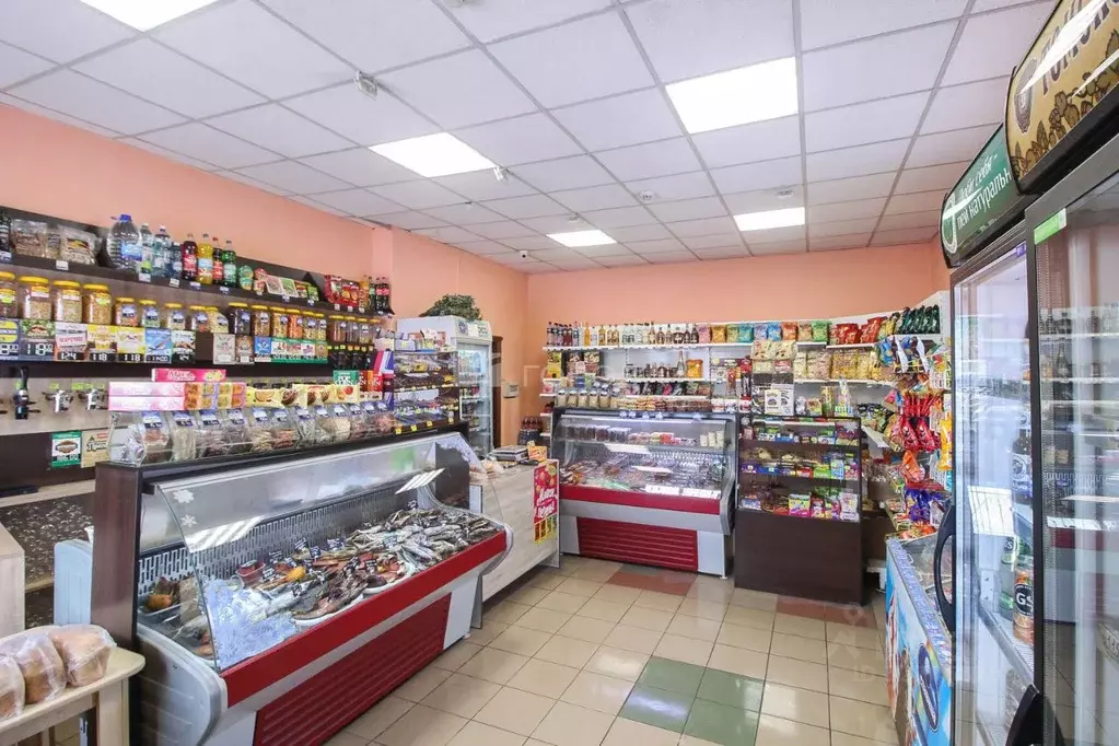 Торговая площадь в Алтайский край, Первомайский район, с. Зудилово ... - Фото 1