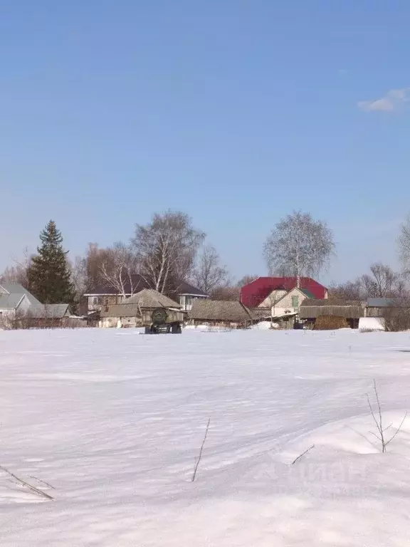 Участок в Башкортостан, Уфимский район, Кирилловский сельсовет, д. ... - Фото 2