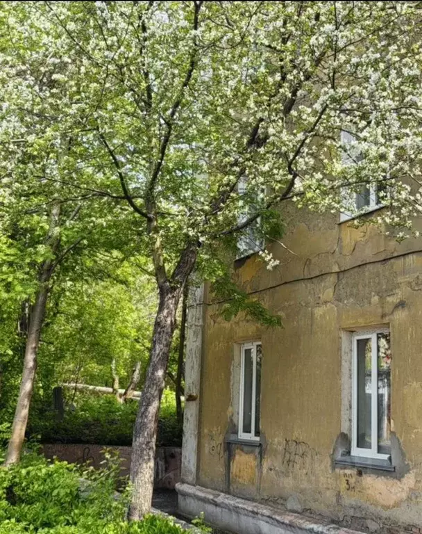 3-к кв. Кемеровская область, Киселевск Советская ул., 20 (59.8 м) - Фото 1