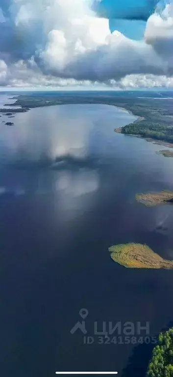 Участок в Ленинградская область, Приозерский район, Красноозерное ... - Фото 2