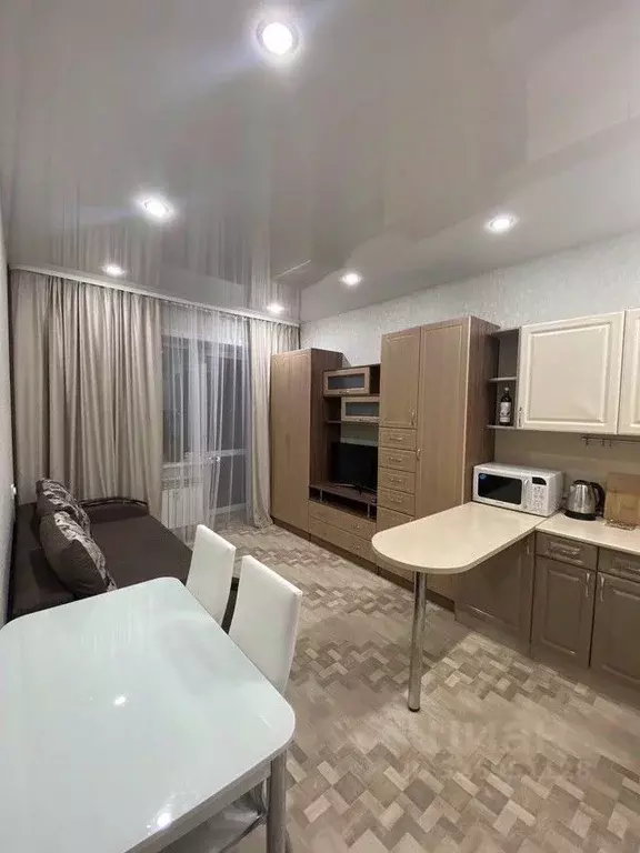 Студия Иркутская область, Иркутск ул. Гоголя, 80 (24.0 м) - Фото 1