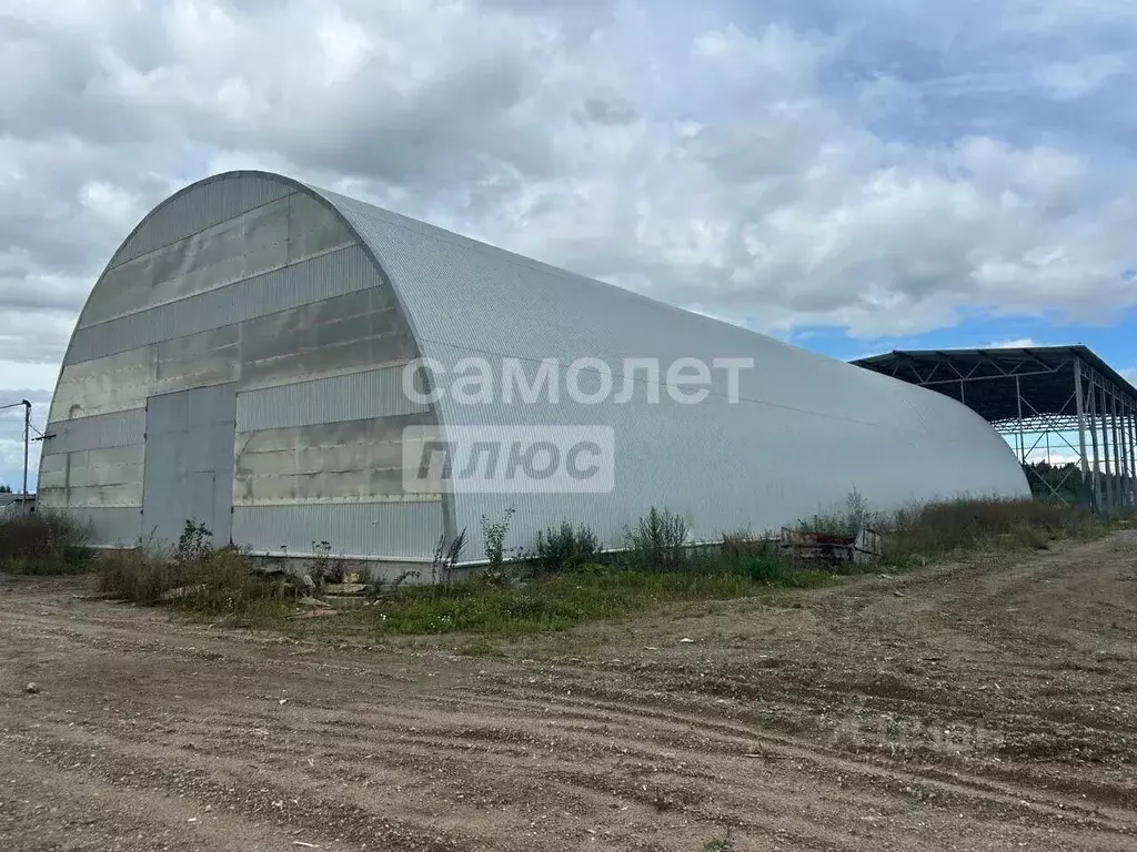 Склад в Московская область, Мытищи городской округ, д. Сухарево ш. ... - Фото 1