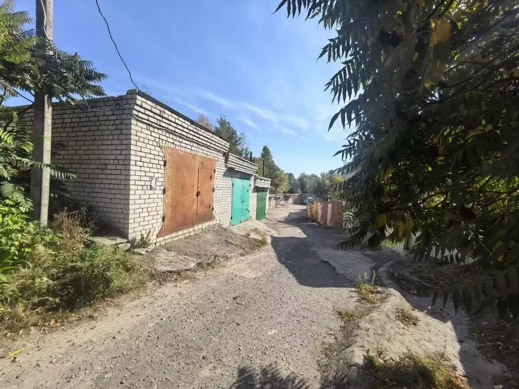 Гараж в Брянская область, Брянск ул. Ромашина, 39 (28 м) - Фото 1