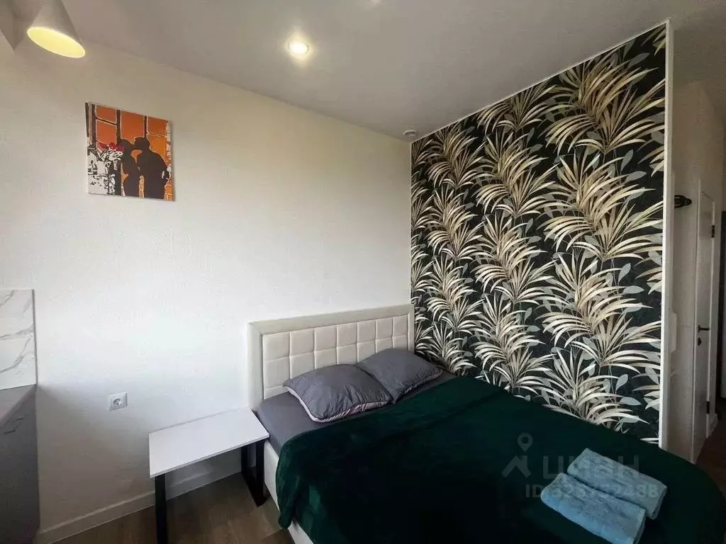 Студия Московская область, Электросталь Комсомольская ул., 1 (22.0 м) - Фото 2