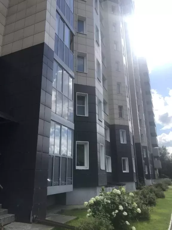 1-к кв. Новосибирская область, Новосибирск ул. Сибиряков-Гвардейцев, ... - Фото 1