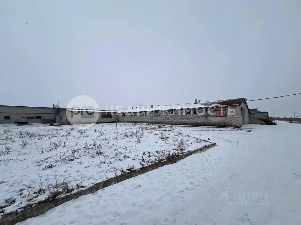 Производственное помещение в Рязанская область, с. Захарово  (4260 м) - Фото 0