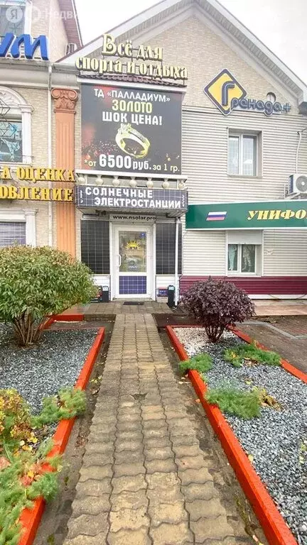 Помещение свободного назначения (31.7 м) - Фото 1