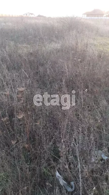 Участок в Белгородская область, Белгород Незабудка садовое ... - Фото 1