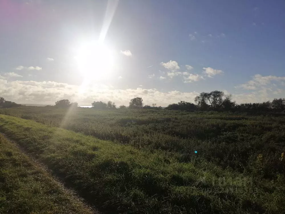 Участок в Калининградская область, Полесский муниципальный округ, пос. ... - Фото 1