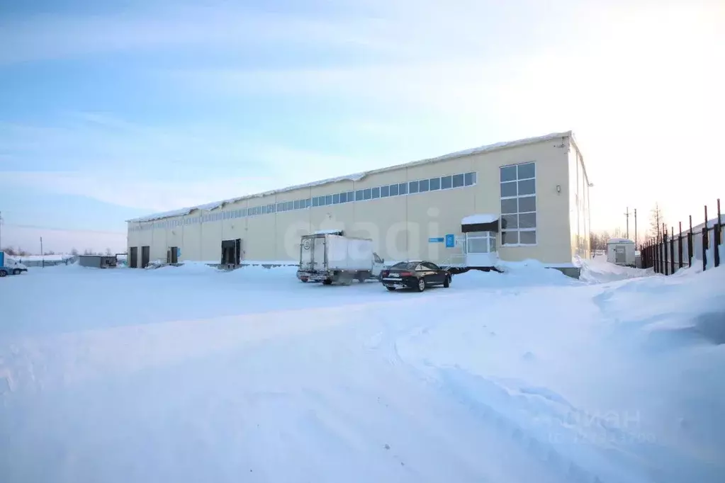 Склад в Ямало-Ненецкий АО, Новый Уренгой Энергетик мкр, 12 (1497 м) - Фото 1