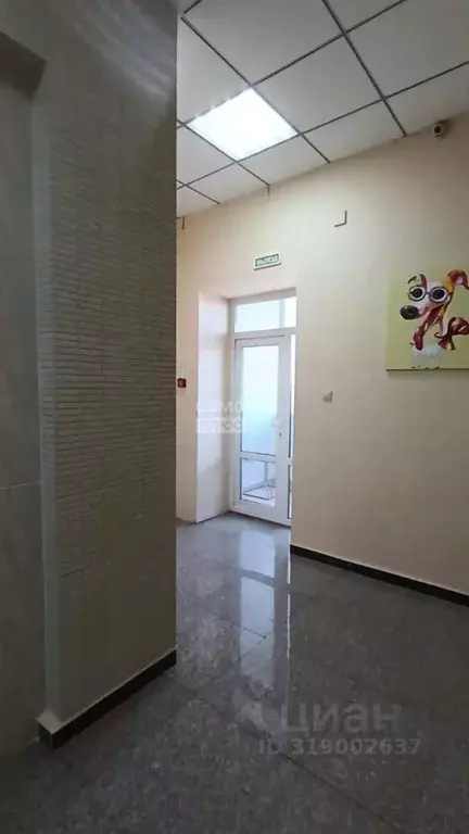 5-к кв. Хабаровский край, Хабаровск ул. Тургенева, 55 (289.5 м) - Фото 1