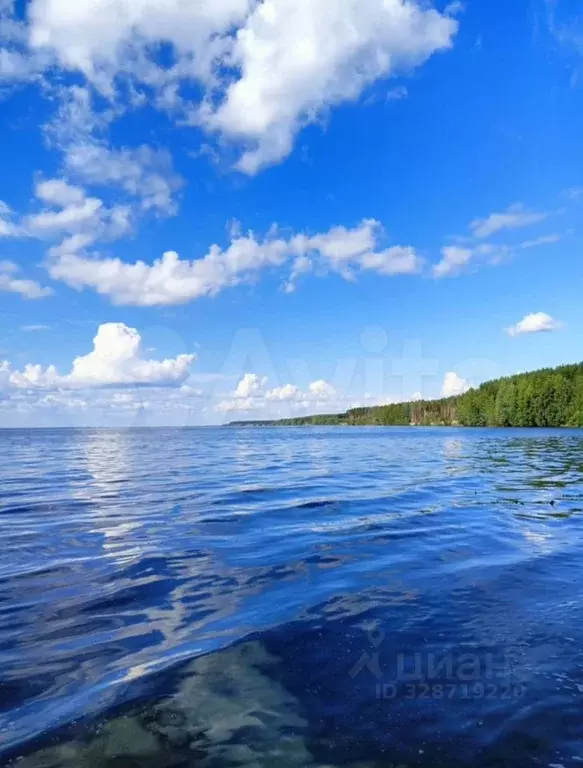 Участок в Нижегородская область, Сокольский муниципальный округ, д. ... - Фото 2