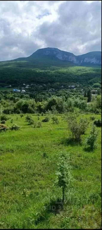 Участок в Крым, Бахчисарайский район, Голубинское с/пос, с. Соколиное ... - Фото 2