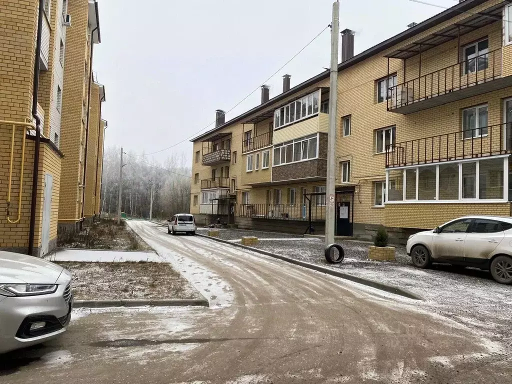 2-к кв. Владимирская область, Суздальский район, Новоалександровское ... - Фото 1