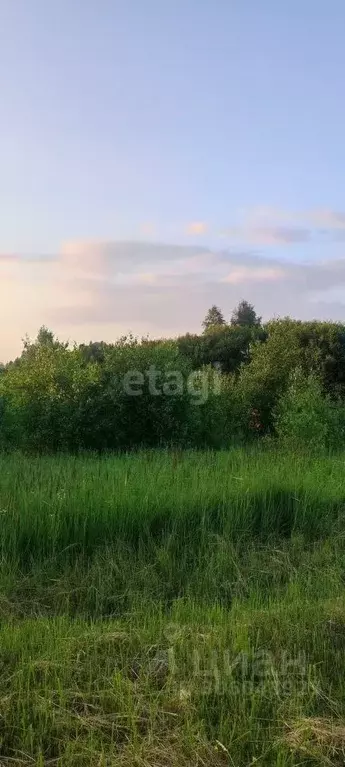 Участок в Тульская область, Тула муниципальное образование, д. Ширино ... - Фото 1