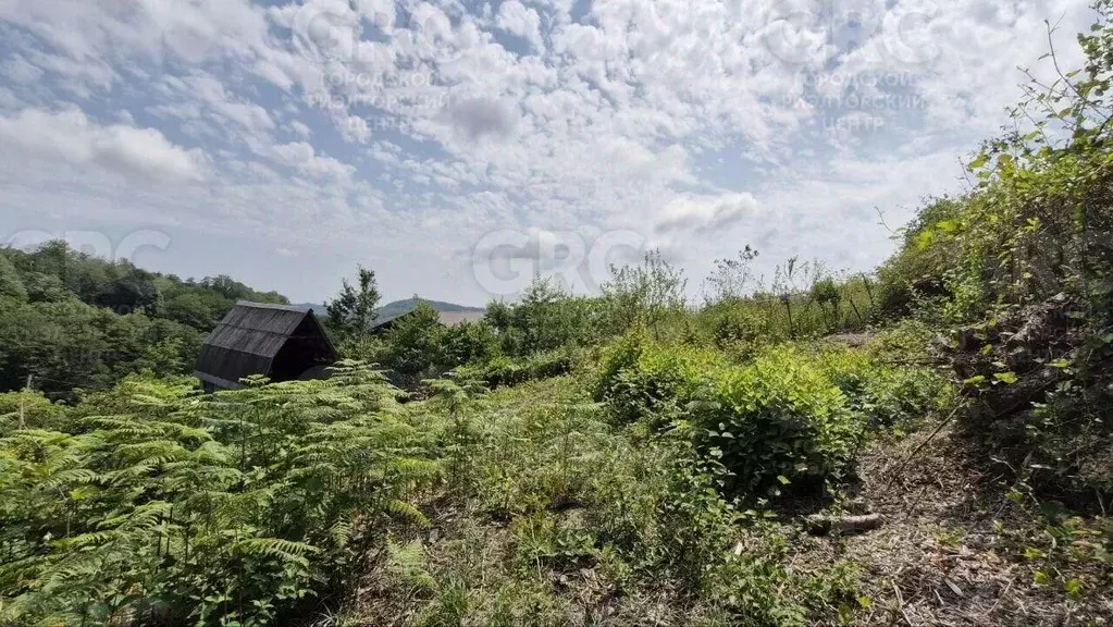 Участок в Краснодарский край, Сочи городской округ, с. Верхний Юрт ул. ... - Фото 0