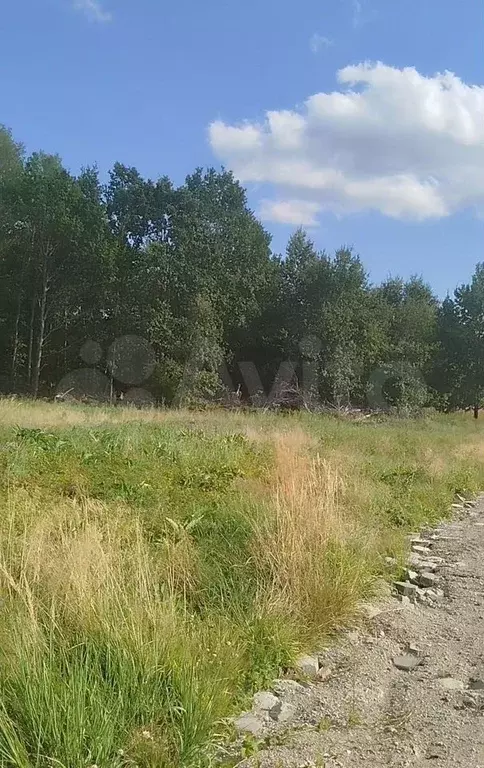 Участок 6 сот. (ИЖС) - Фото 1