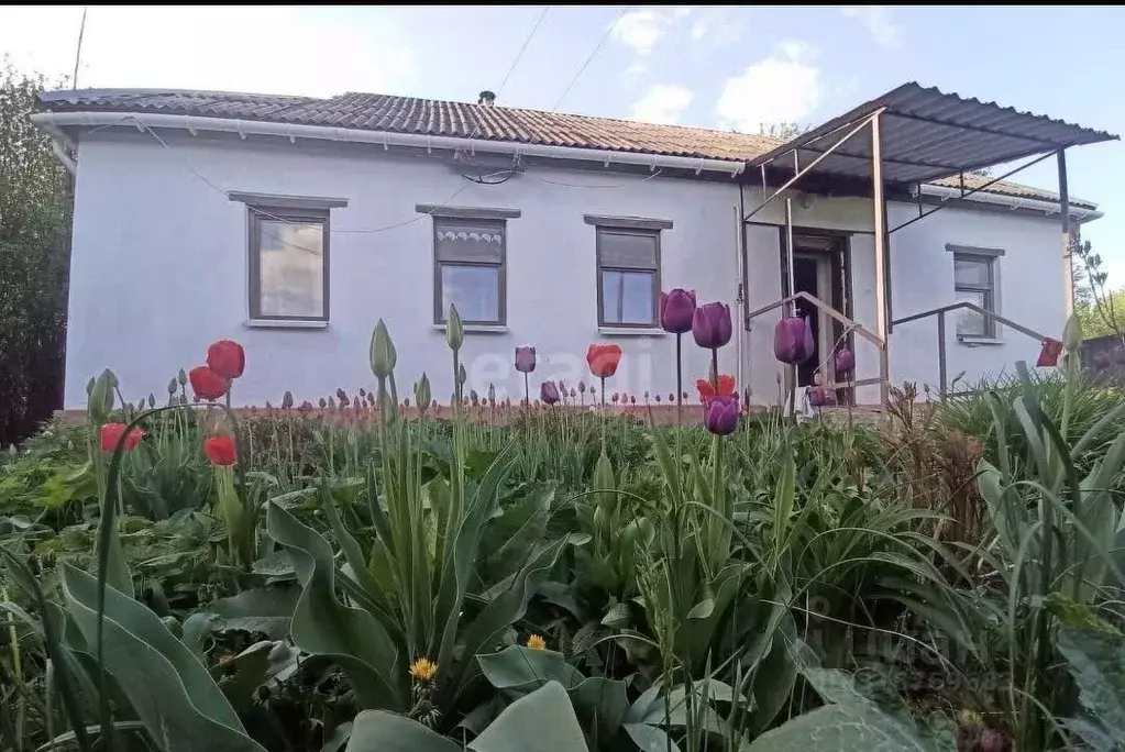 Дом в Липецкая область, Долгоруковский район, Войсковоказинский ... - Фото 0