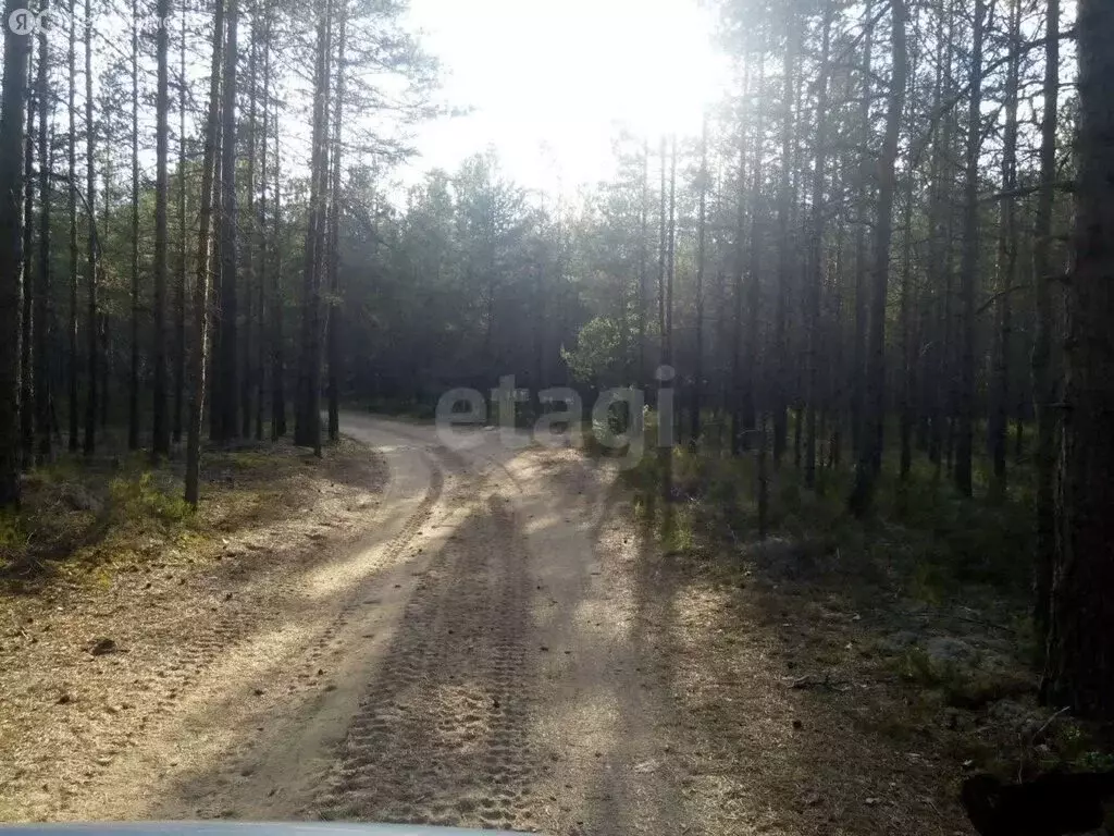 Участок в Раздольевское сельское поселение, садоводческое ... - Фото 2