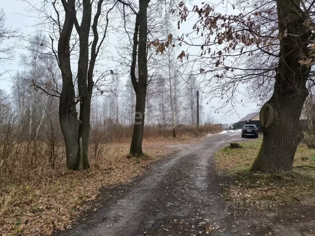 Участок в Калининградская область, Гурьевский муниципальный округ, ... - Фото 1