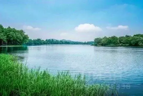 Участок в Ленинградская область, Выборгский район, Каменногорское ... - Фото 1