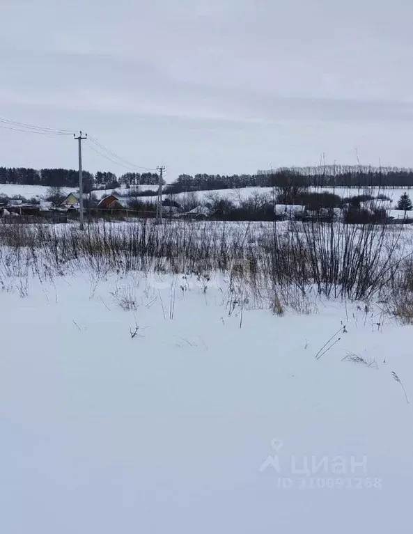 Участок в Мордовия, Лямбирский район, Берсеневское с/пос, с. Татарская ... - Фото 0