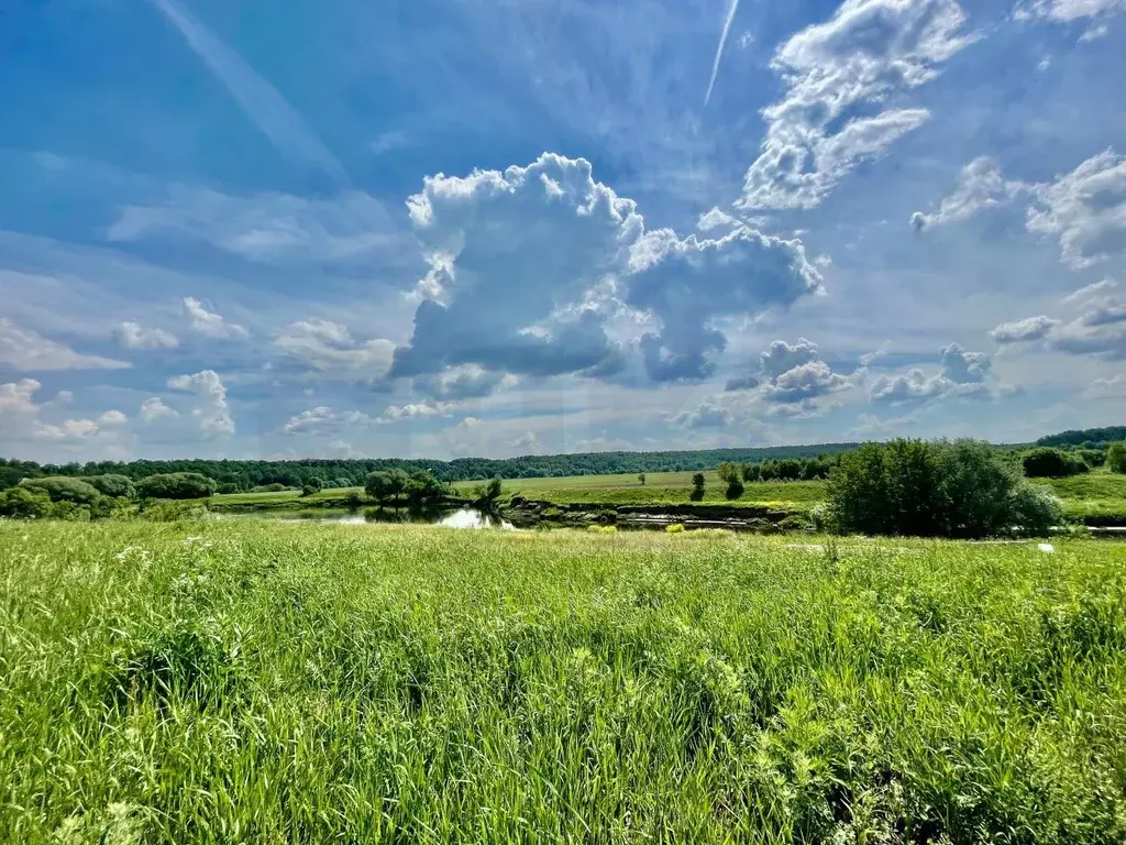 Участок в Московская область, Раменский городской округ, с. Зеленая ... - Фото 1